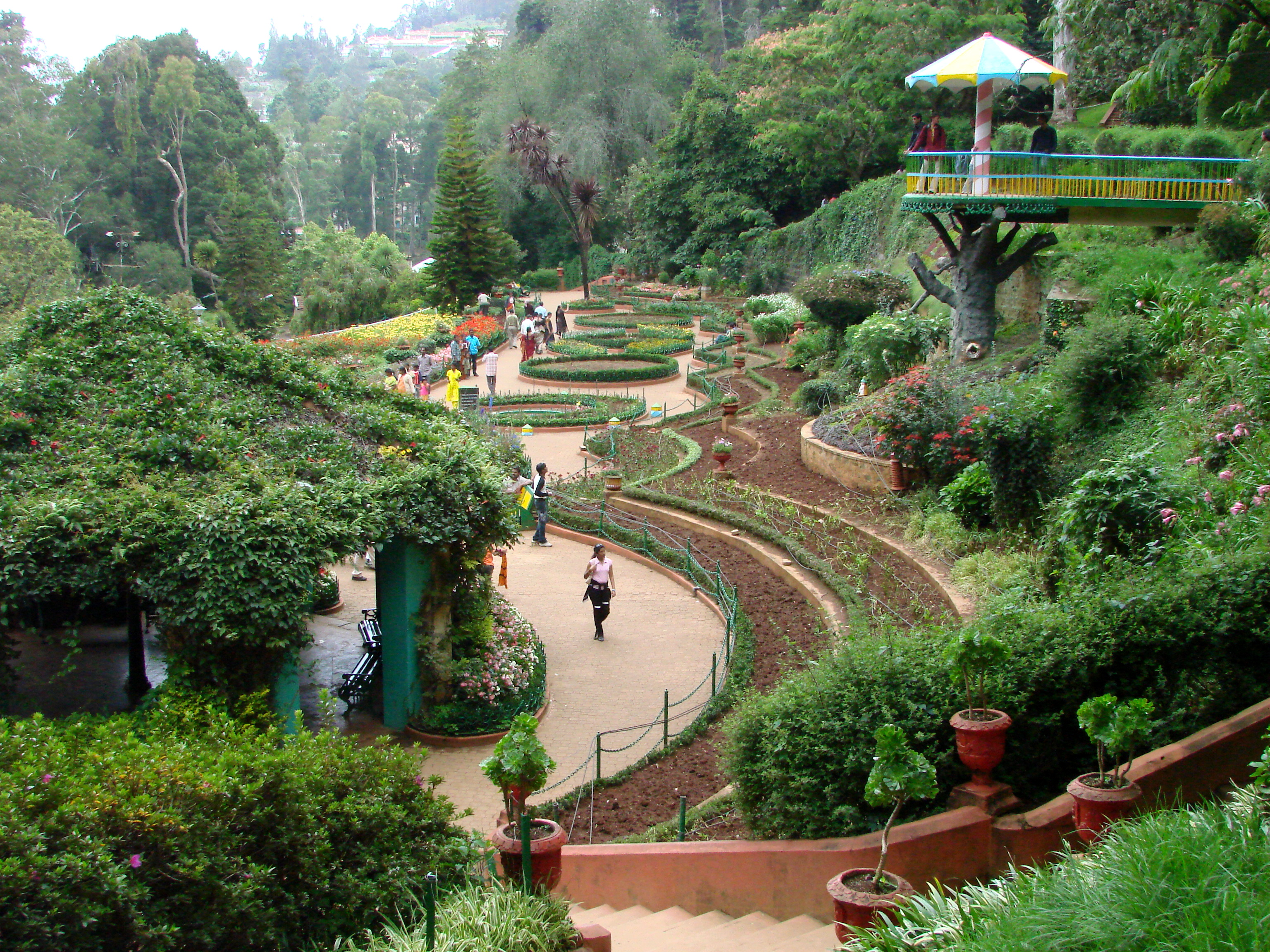 Government Botanical Garden, Ooty