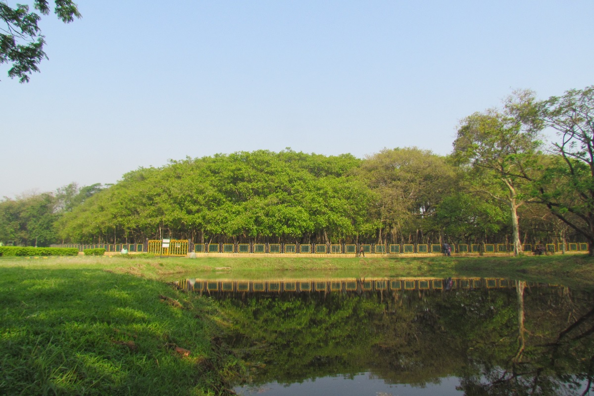 
Acharya Jagadish Chandra Bose Indian Botanic Garden, Howrah