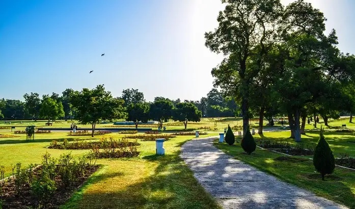 
Government Rose Garden, Chandigarh