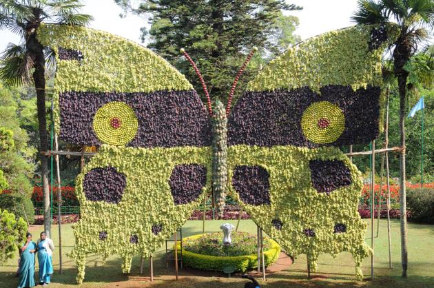 Butterfly Park, Ooty