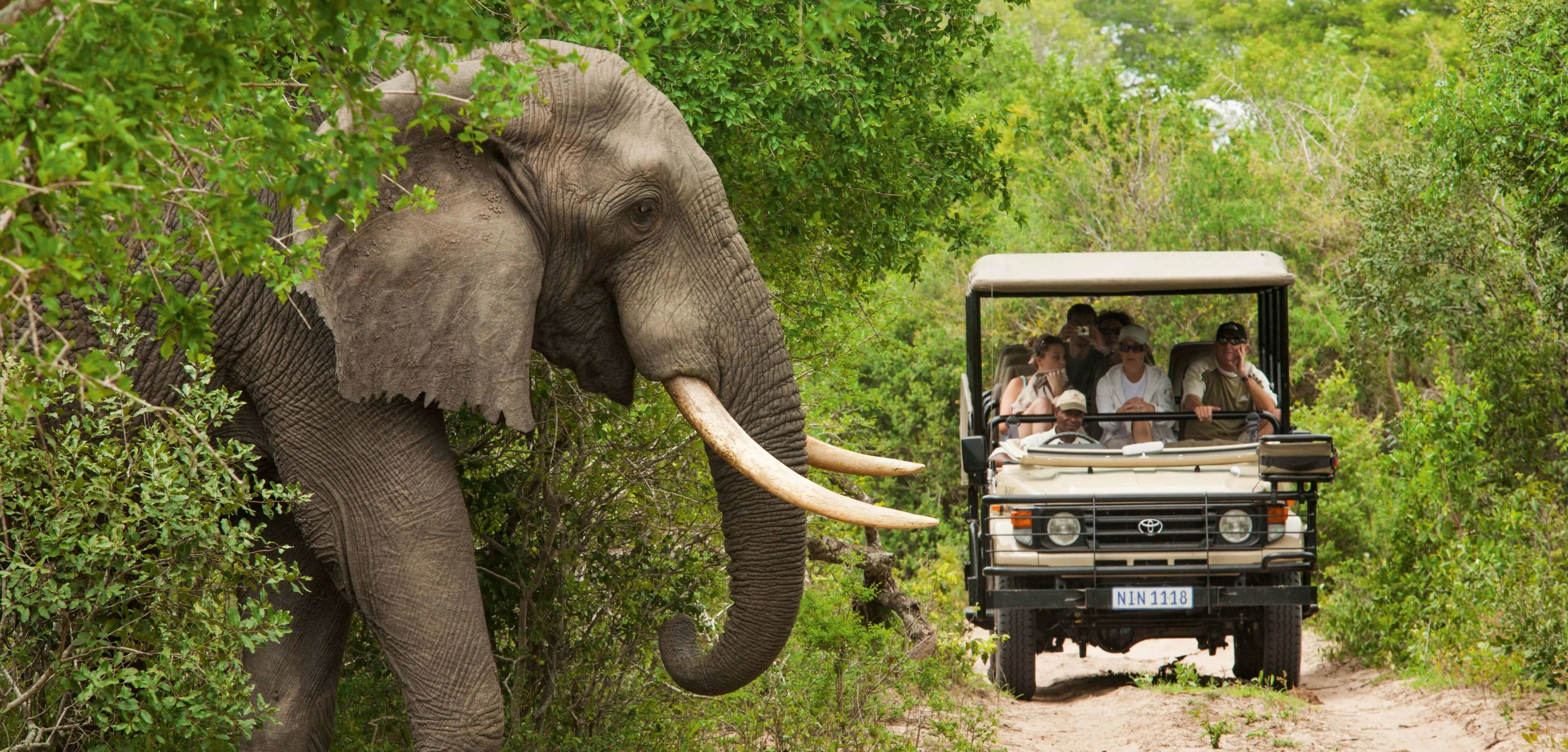 Nagarhole National Park