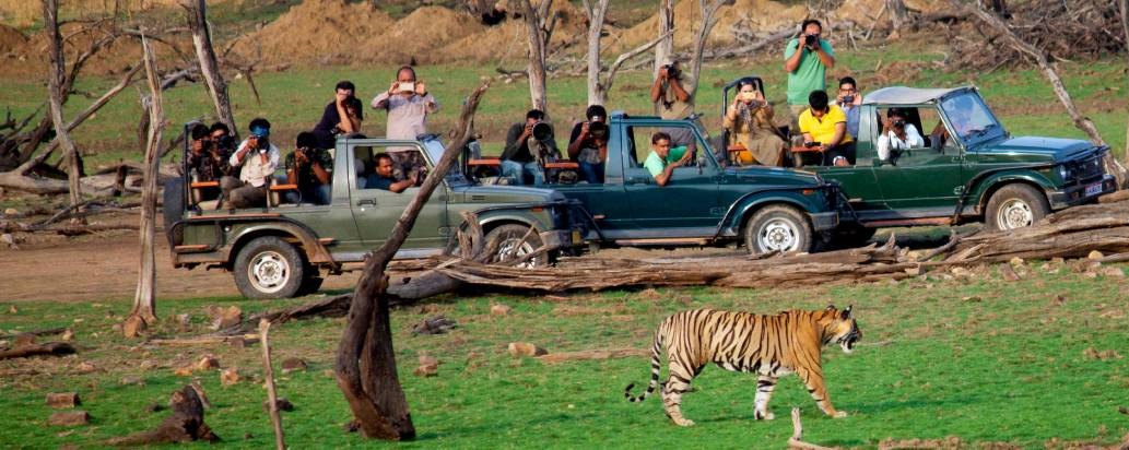 Ranthambore National Park, Rajasthan